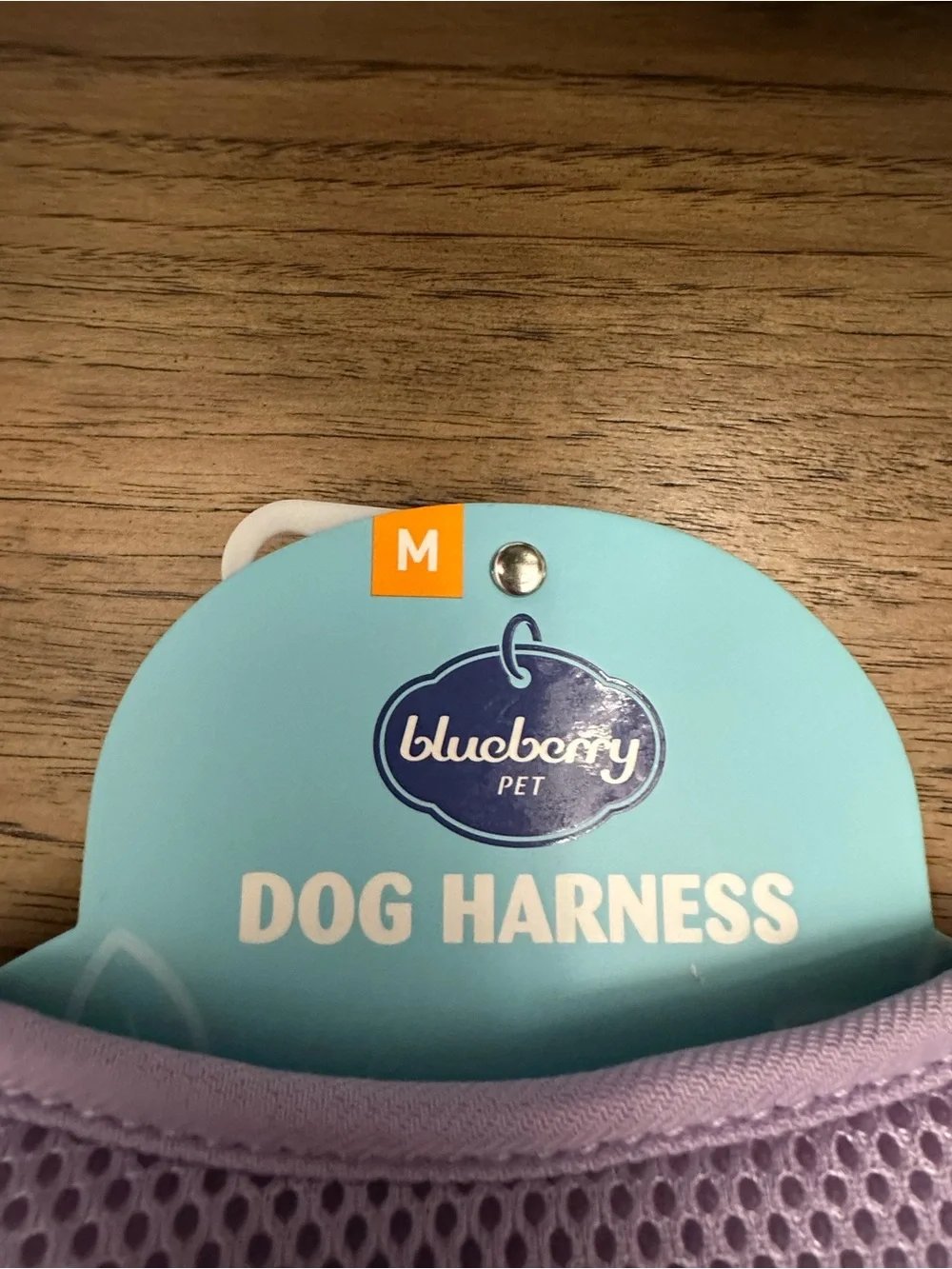 Blueberry pet dog